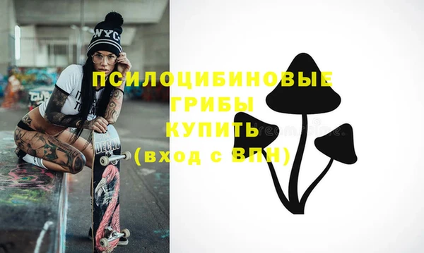 бутират Алексин
