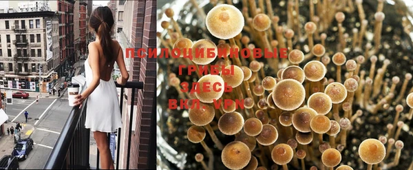бутират Алексин